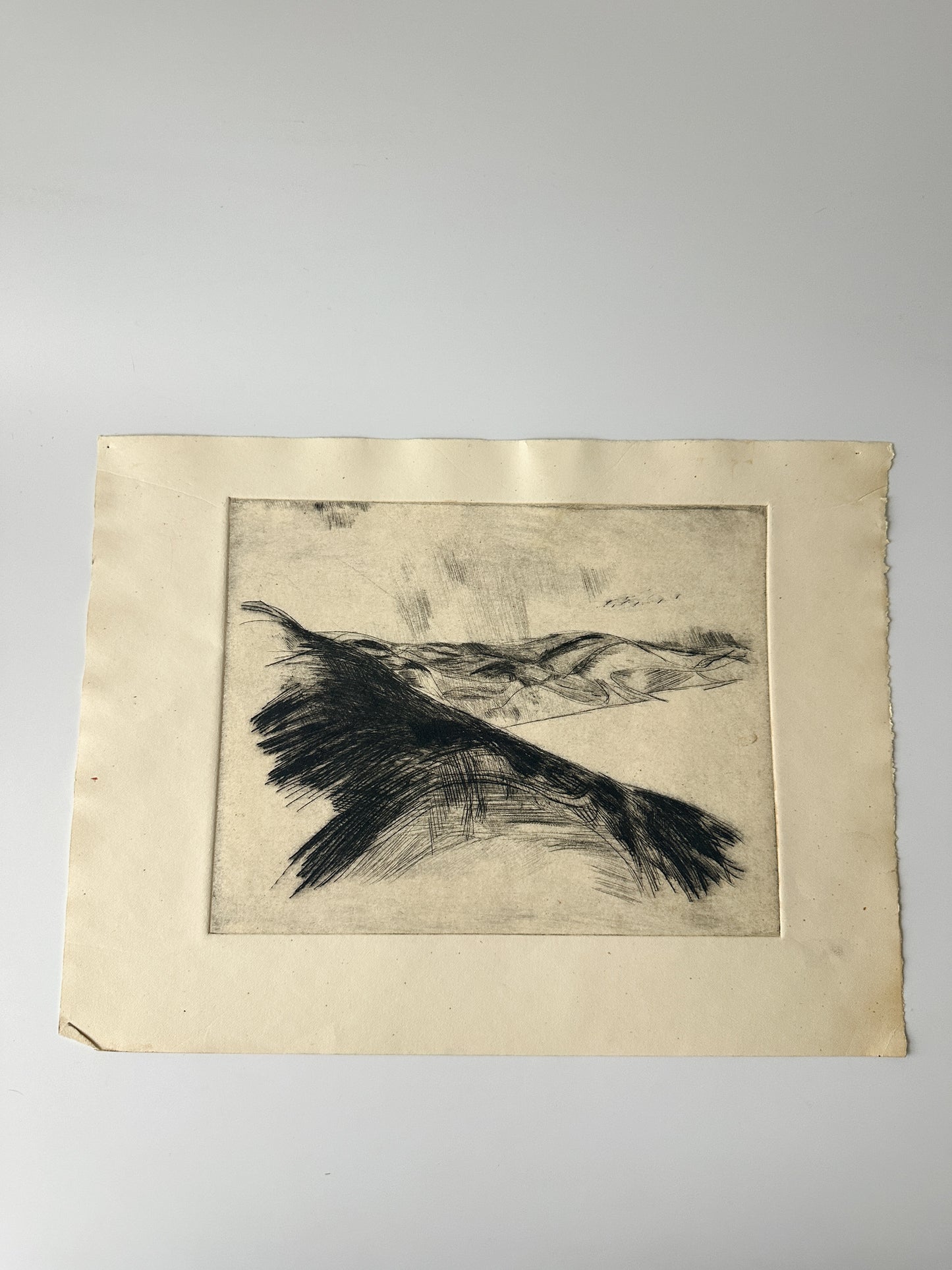 "BAYSCAPE" Etching by Late Artist Jane Matteson