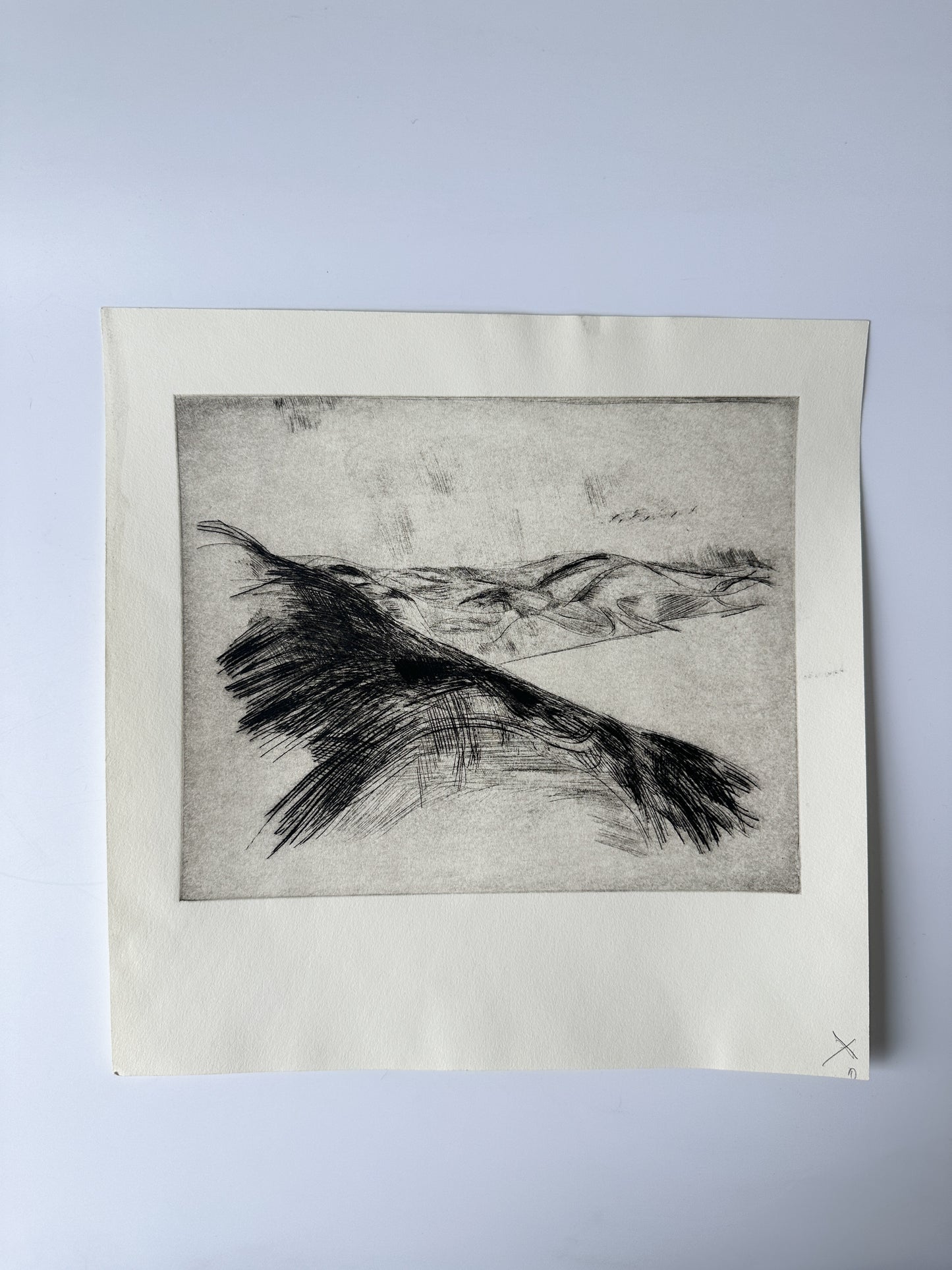 "BAYSCAPE" Etching by Late Artist Jane Matteson