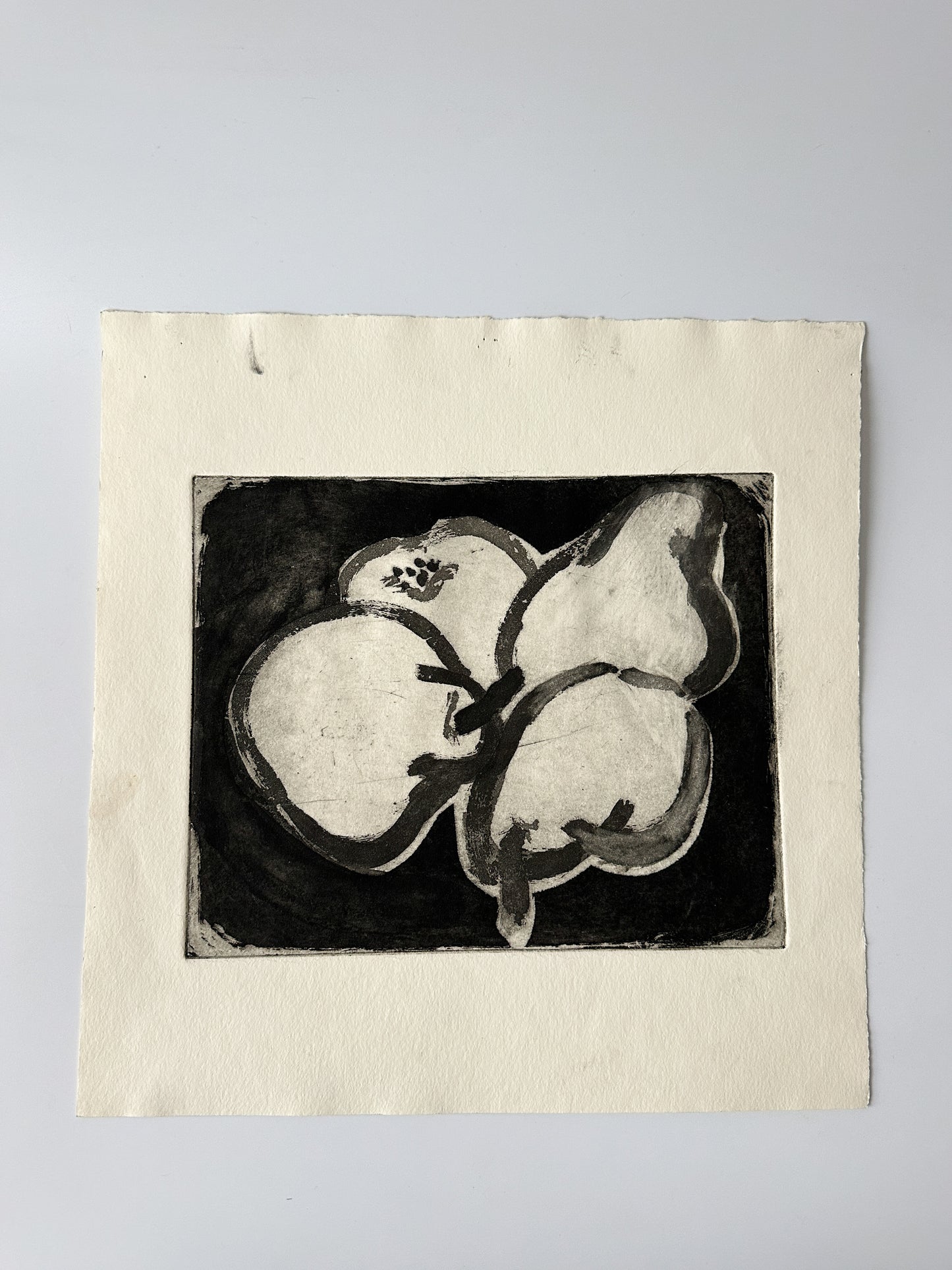 "UNSTILLIFE" Lithograph by the Late Artist Jane Matteson