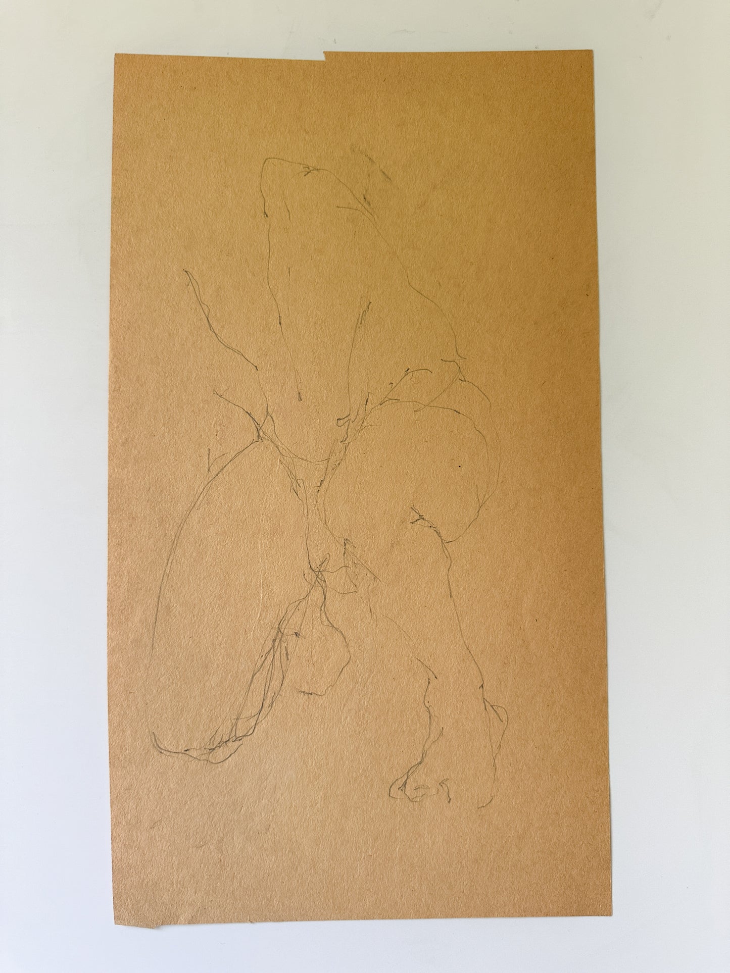 Nude Pencil Sketch (Double-Sided) by Jane Matteson (8.75"W x 15.5"H)