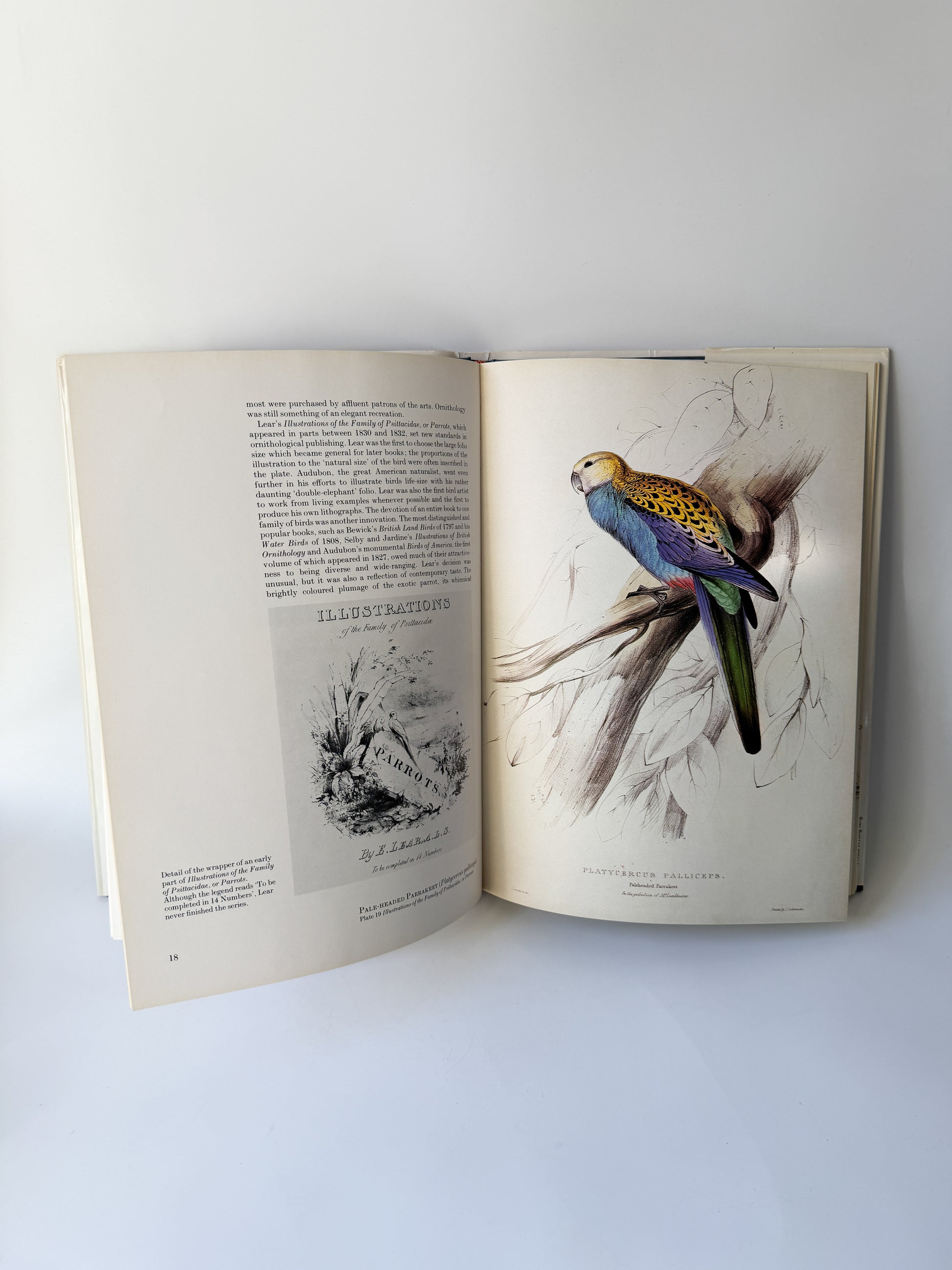 Book: Edward Lear's Birds by Susan Hyman