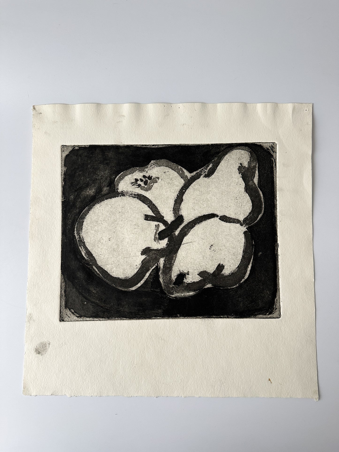 "UNSTILLIFE" Lithograph by the Late Artist Jane Matteson