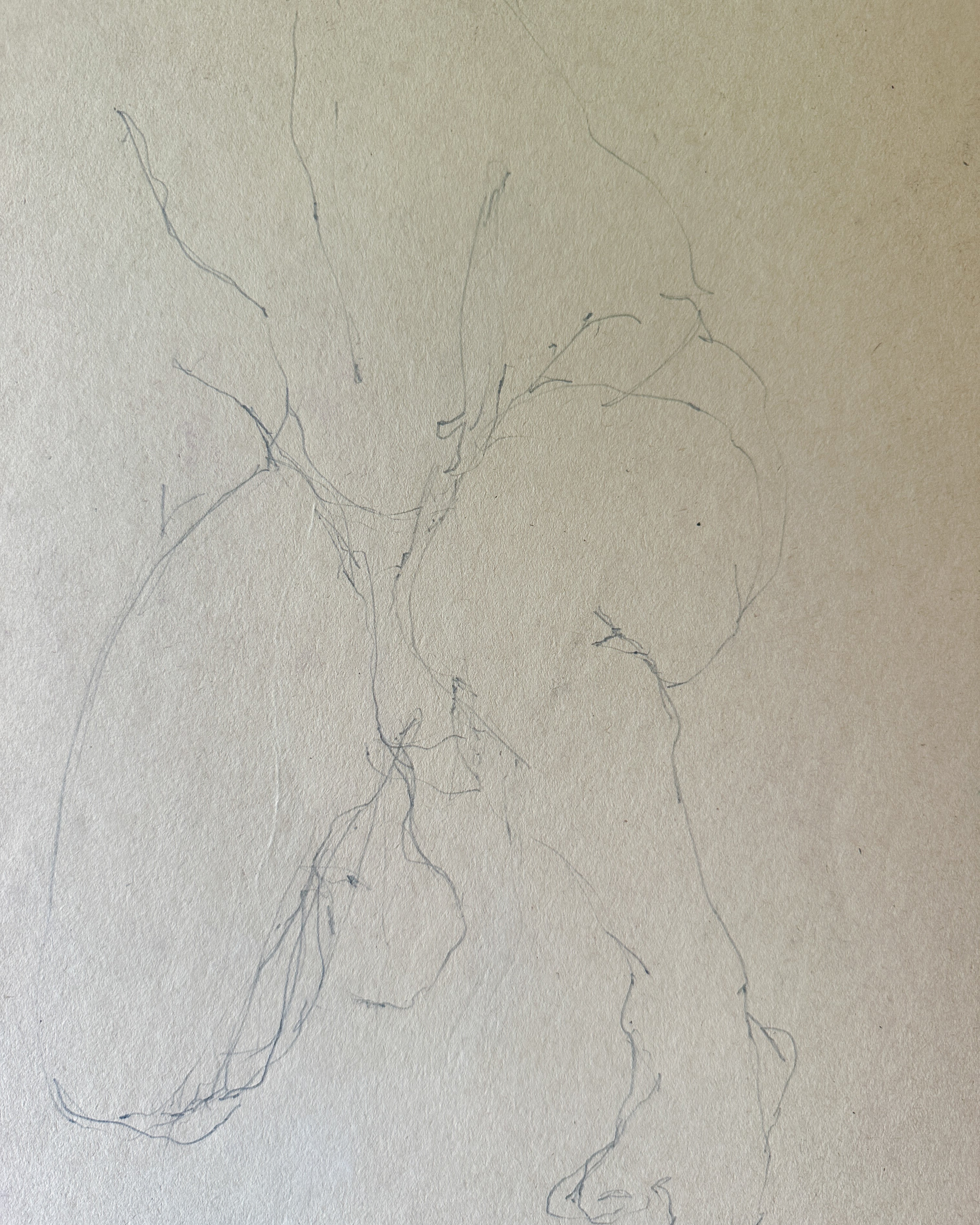 Nude Pencil Sketch (Double-Sided) by Jane Matteson (8.75"W x 15.5"H)