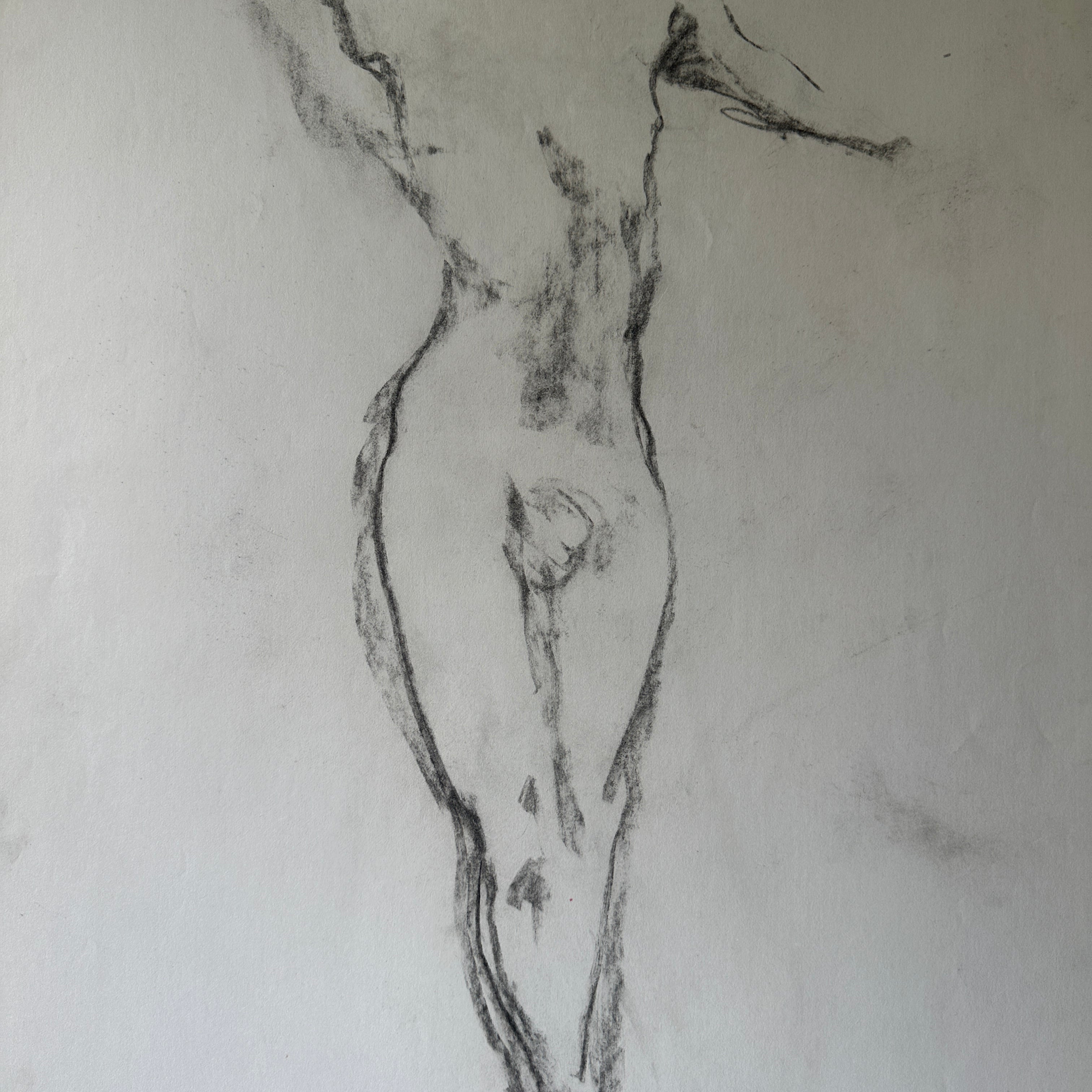 Double-Sided Nude Male II - Sketch by Jane Matteson (18"W x 24"H)