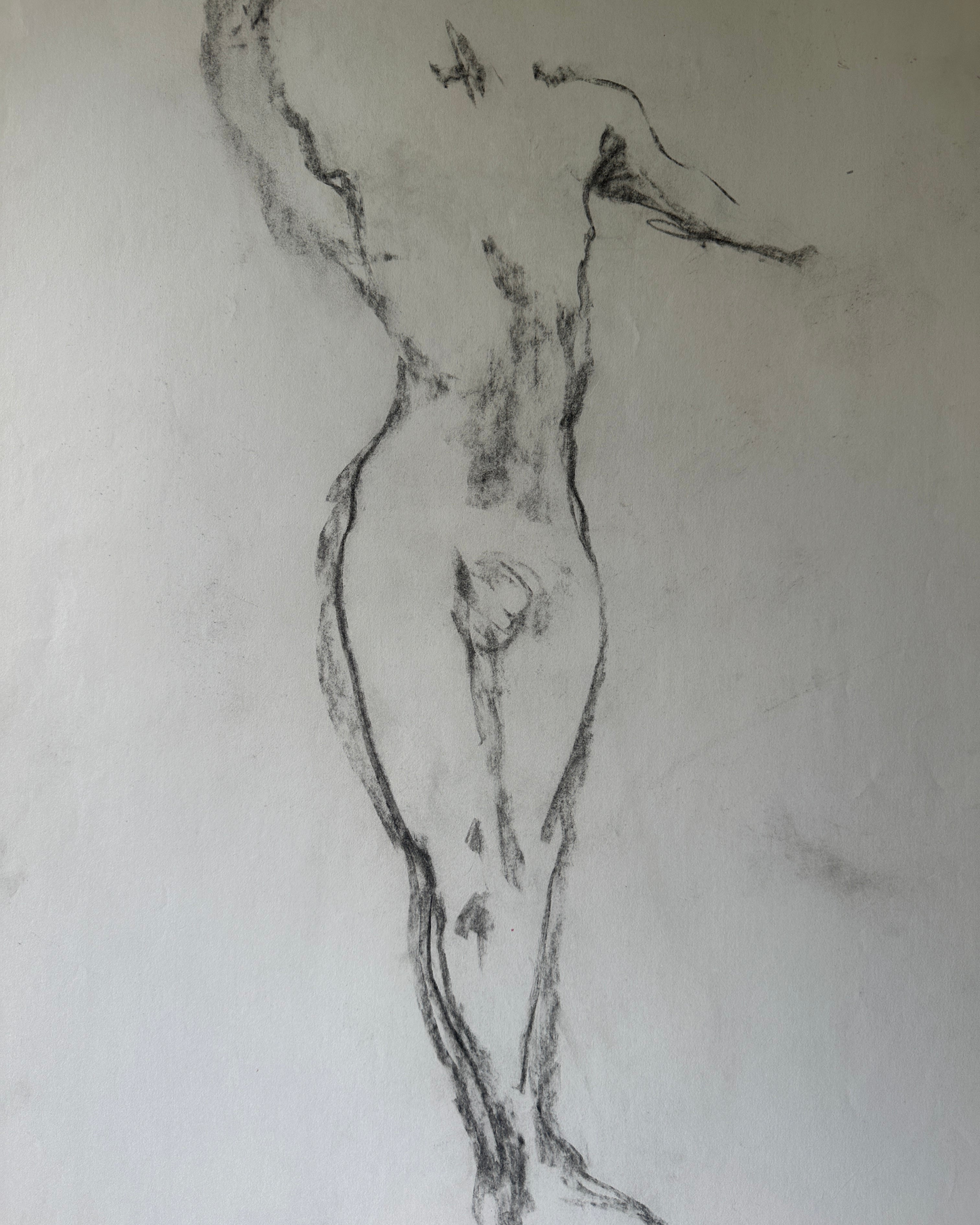 Double-Sided Nude Male II - Sketch by Jane Matteson (18"W x 24"H)