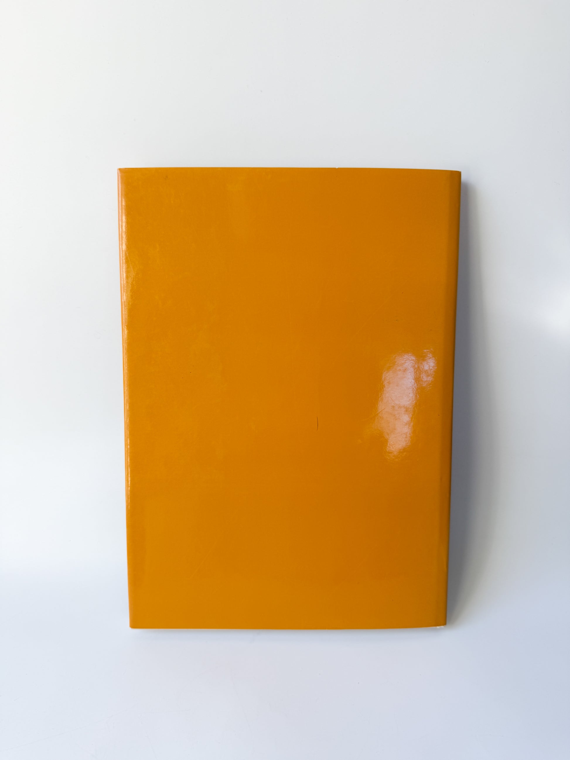 Book: Max Earnst by Pere Gimferrer