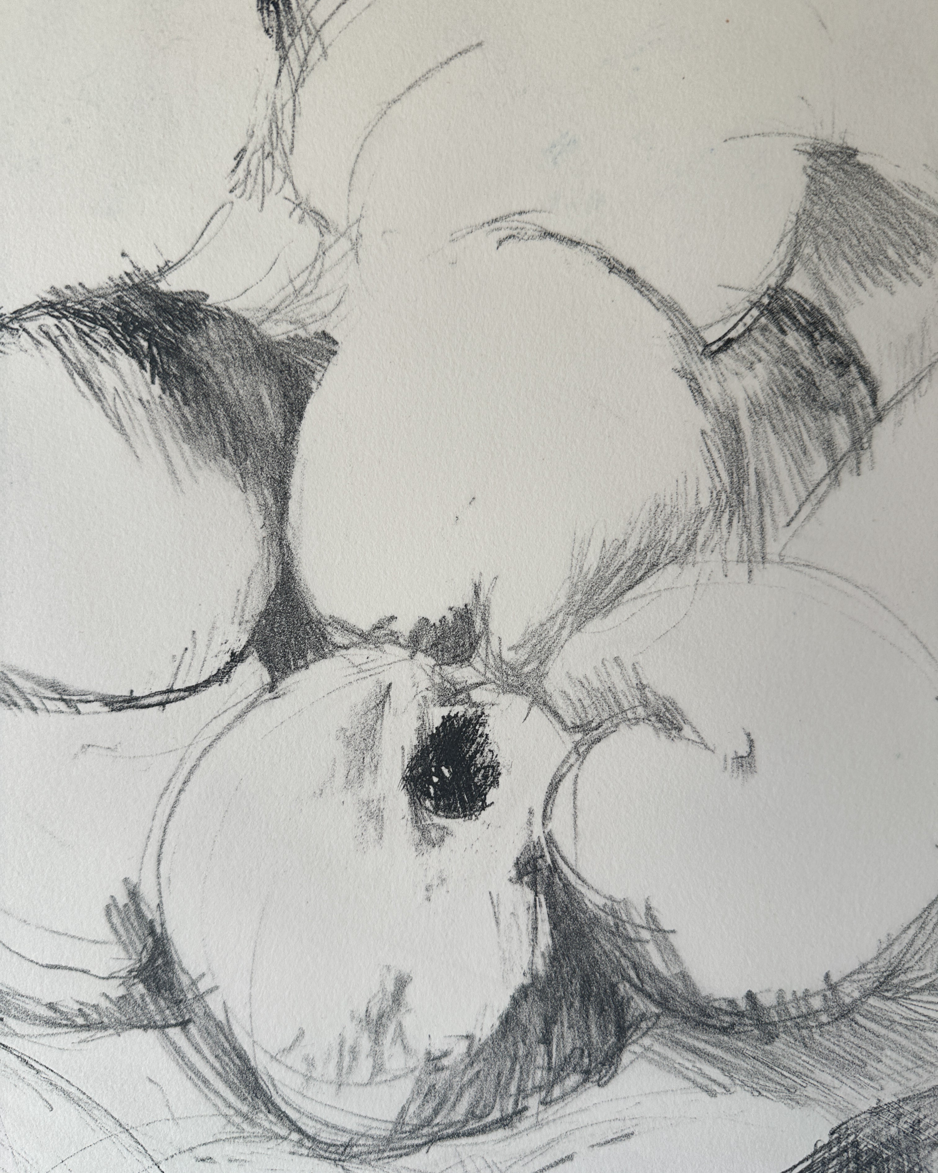 FRUIT BOWL Still Life by Late Artist Jane Matteson