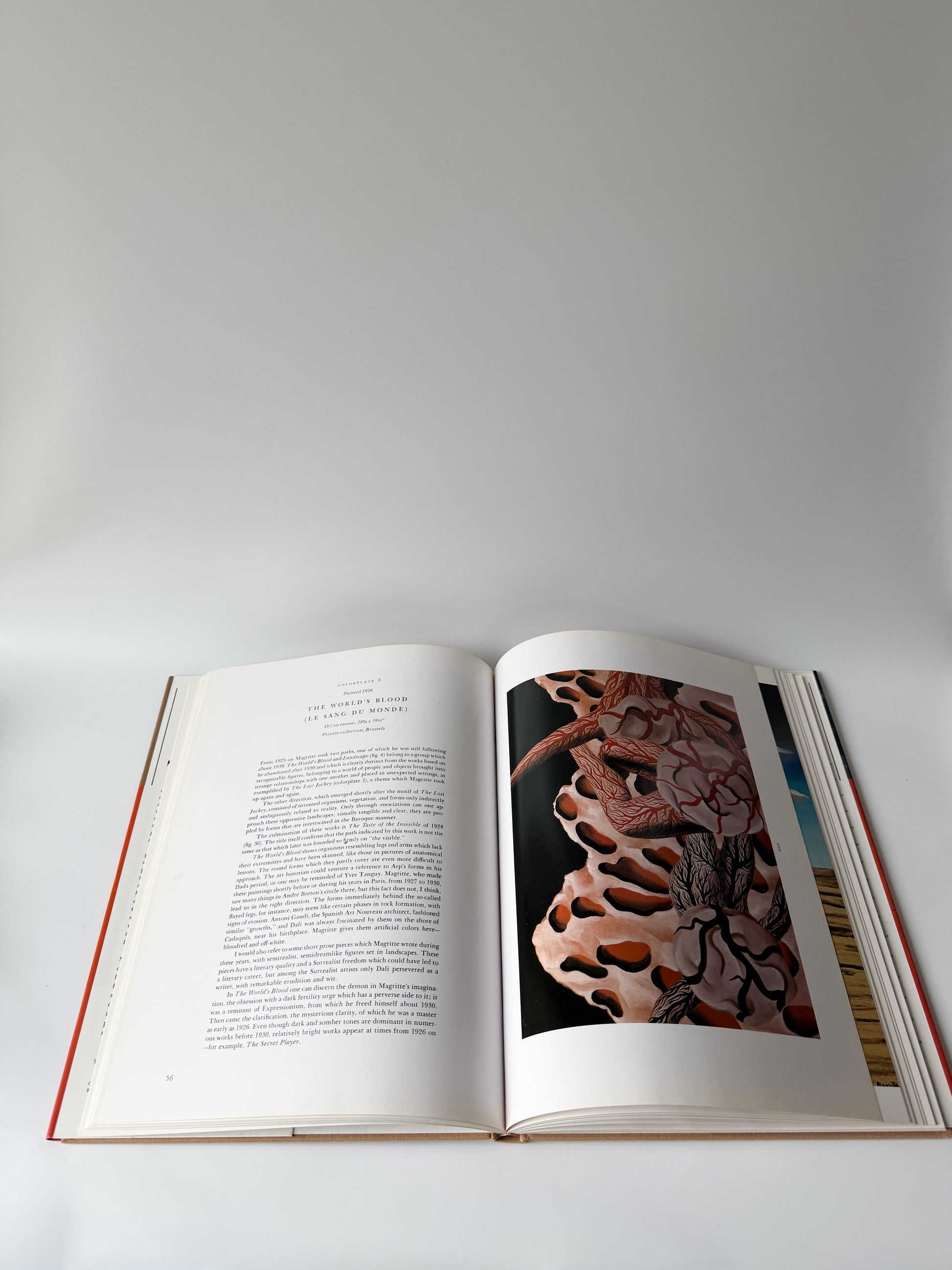 Book: Magritte (Rene Magritte) by A.M. Hammacher