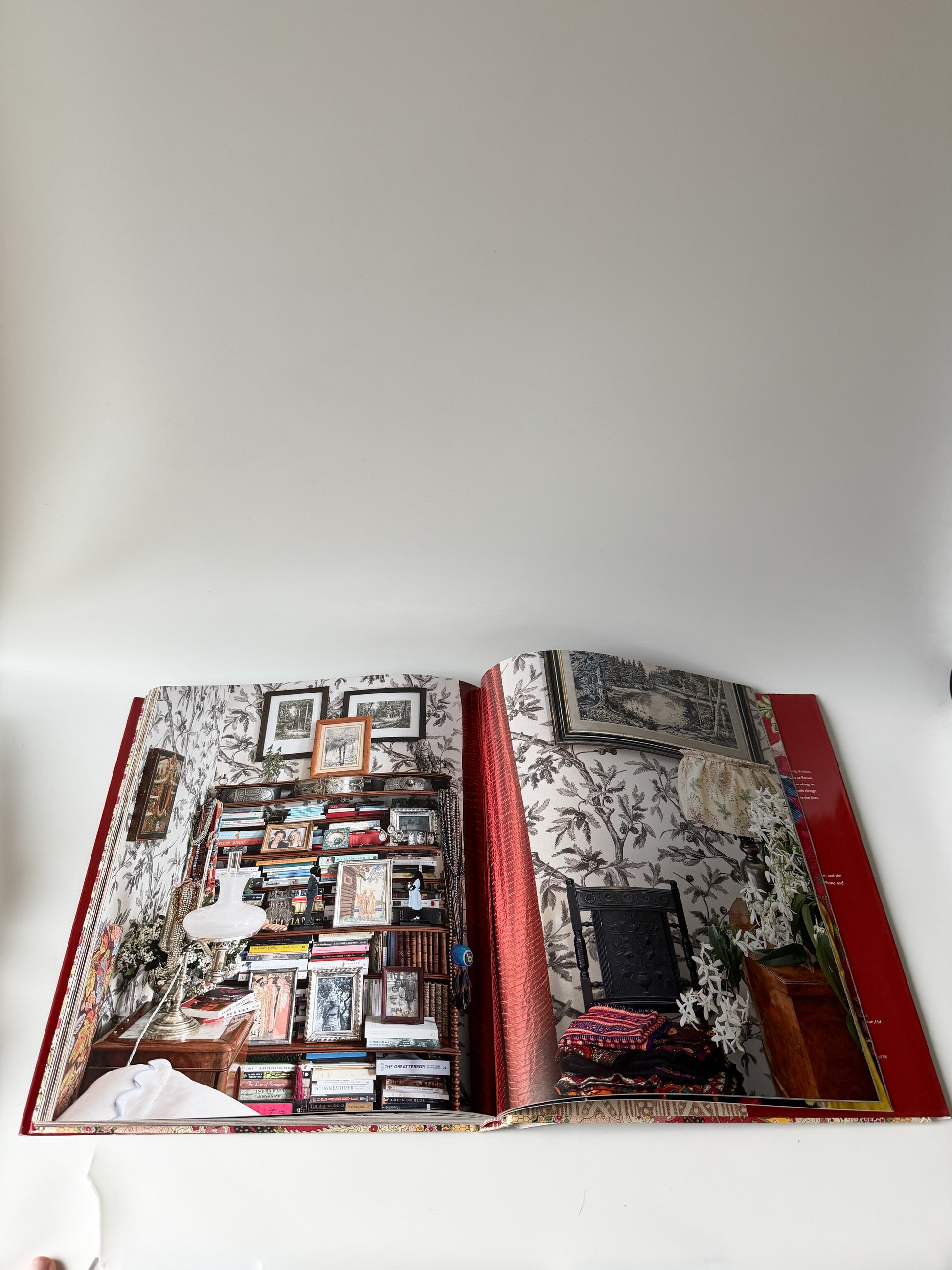 Decor Barbares - The Enchanting Interiors of Nathalie Farman-Farma