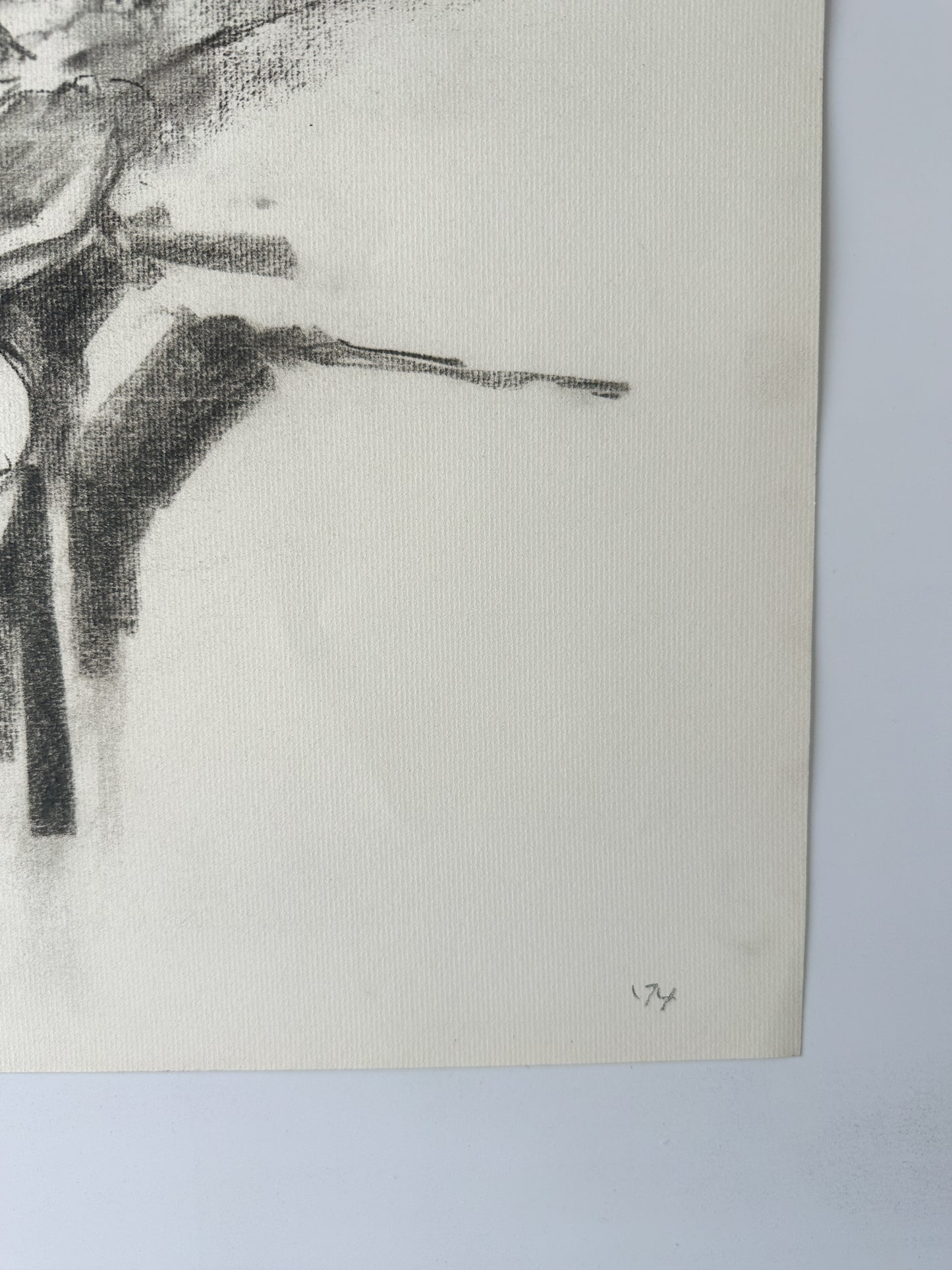 Nude Sketches (3 options) - by Jane Matteson (24" x 18")