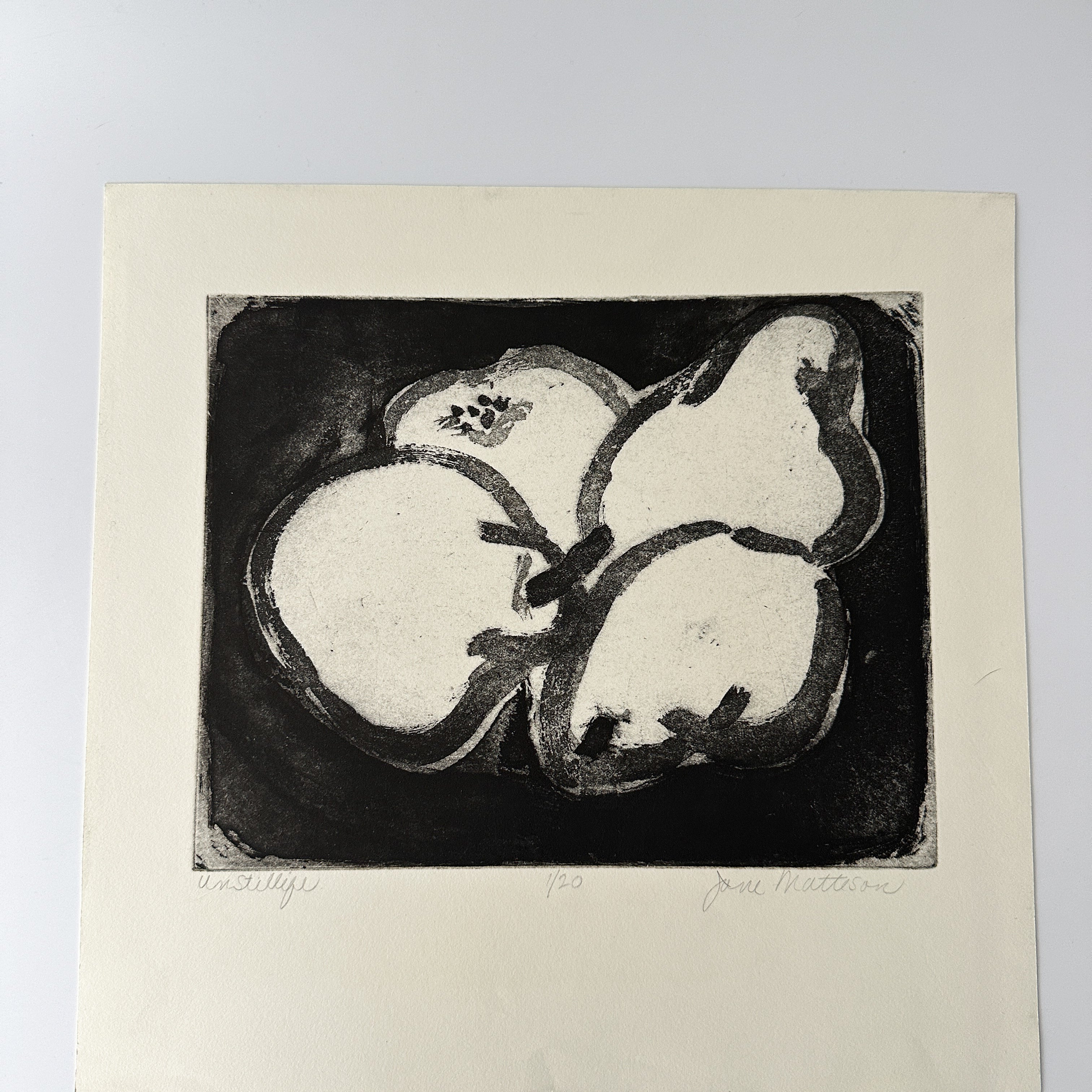 "UNSTILLIFE" Lithograph by the Late Artist Jane Matteson