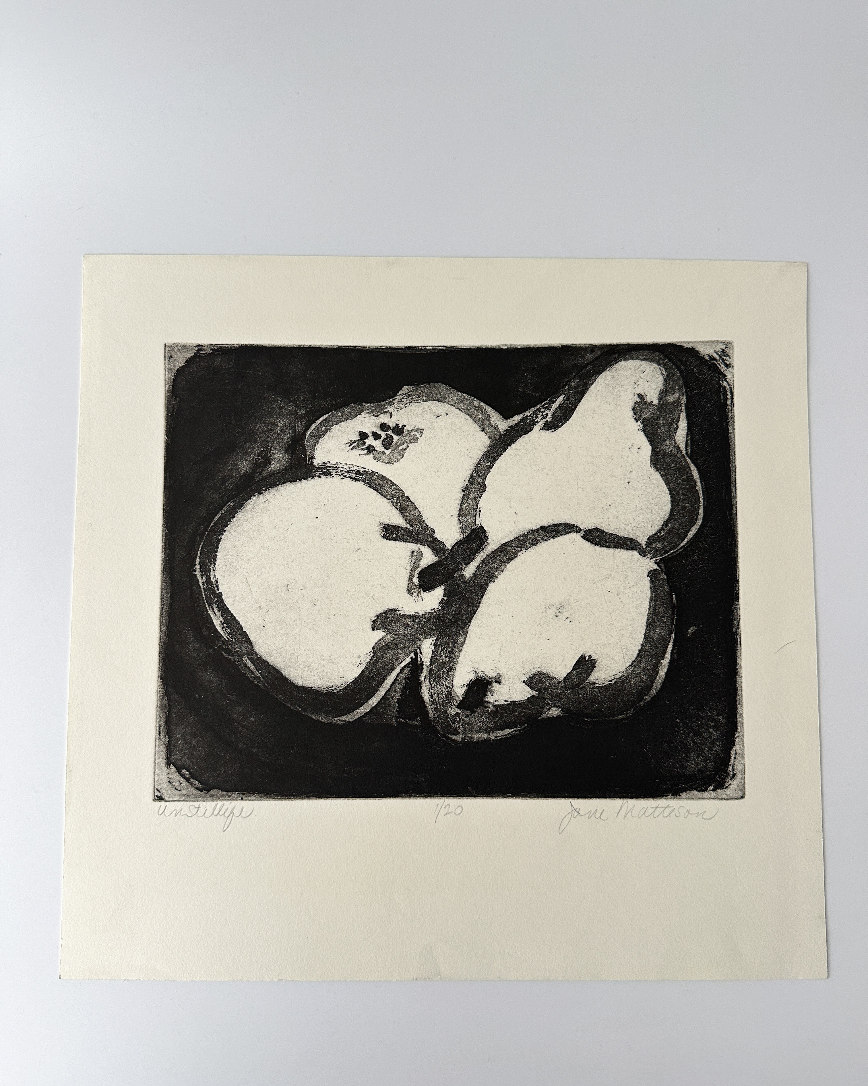 "UNSTILLIFE" Lithograph by the Late Artist Jane Matteson