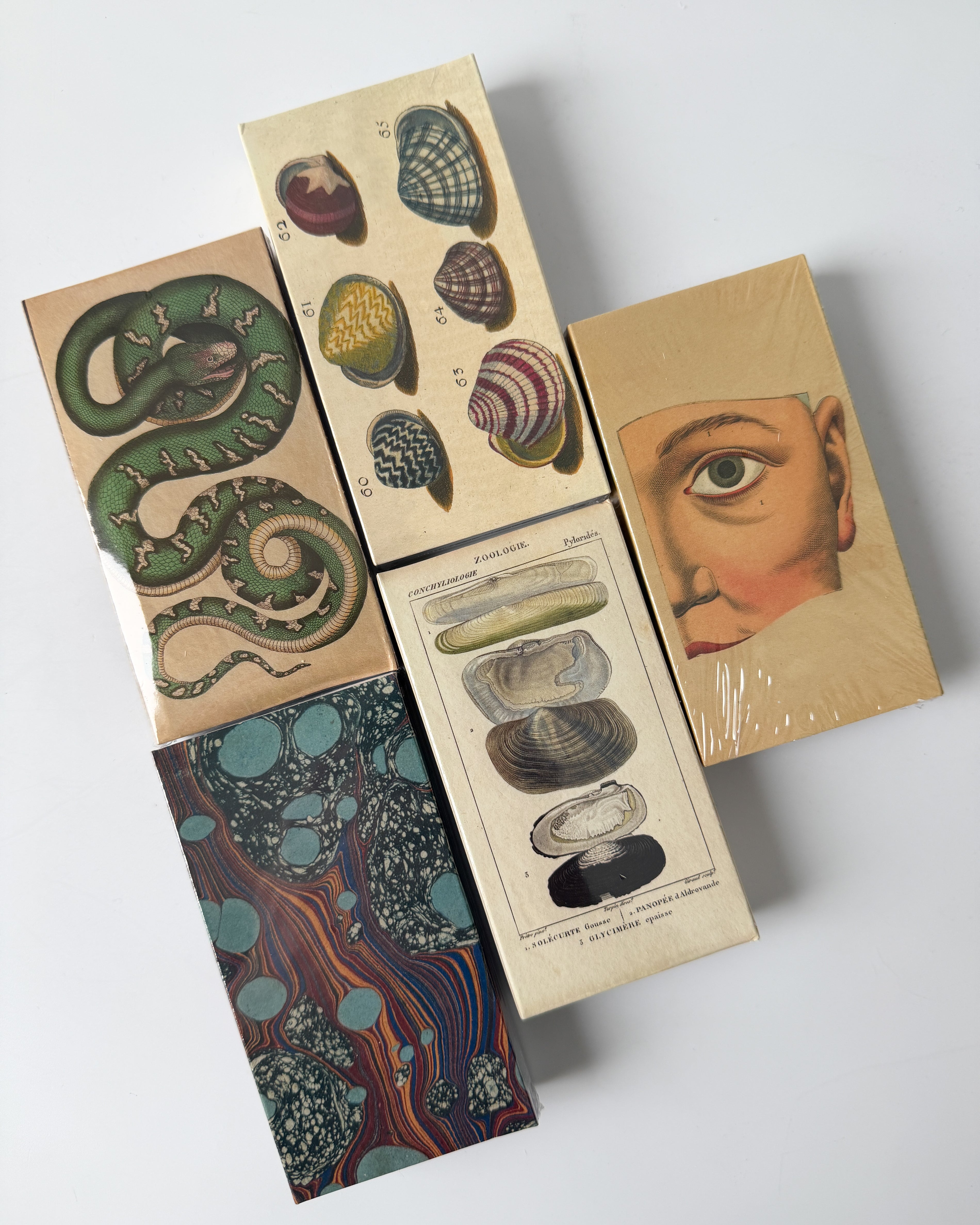 Matchbox Varieties (double-sided)