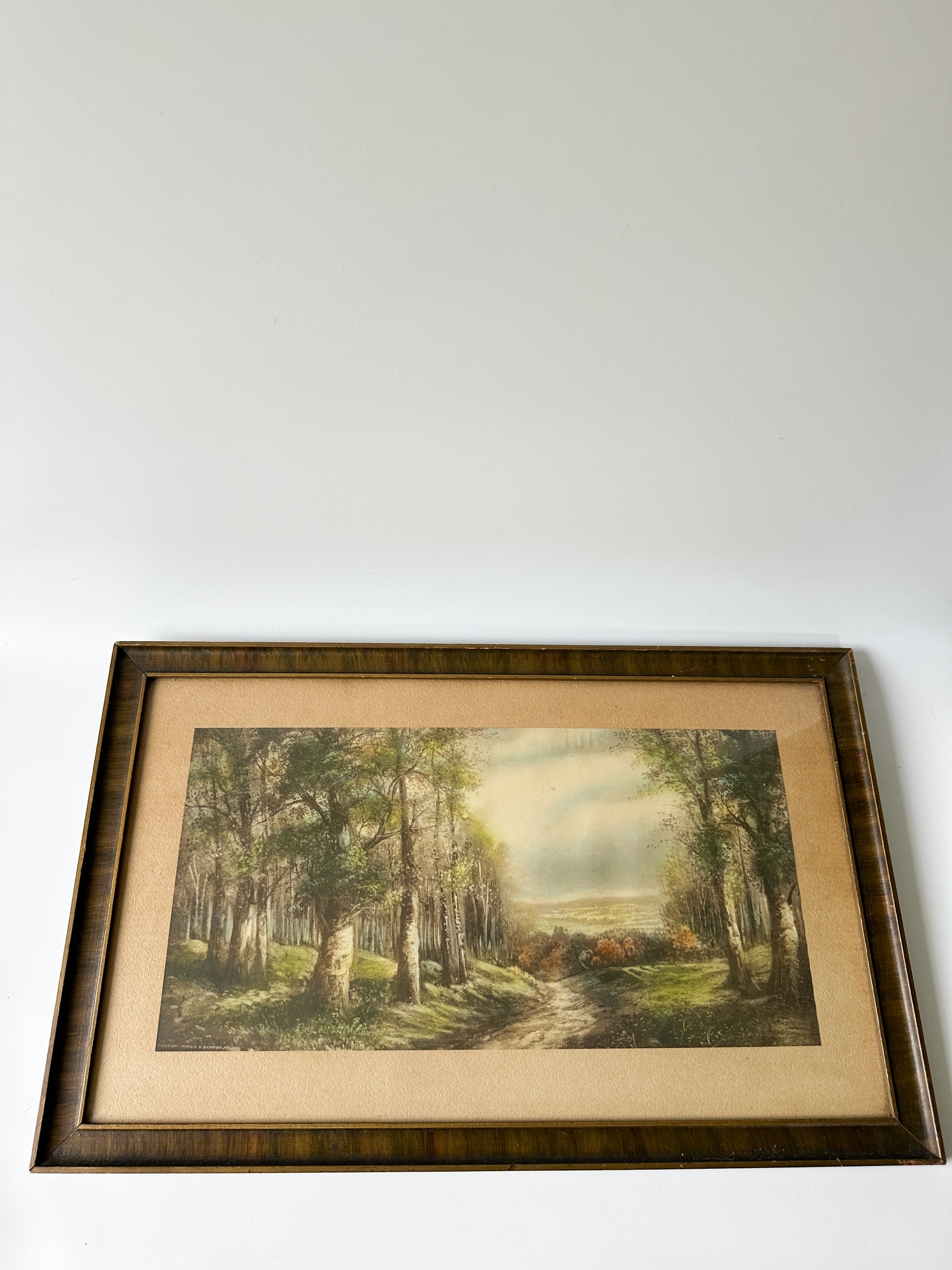 Antique Color Lithograph Landscape