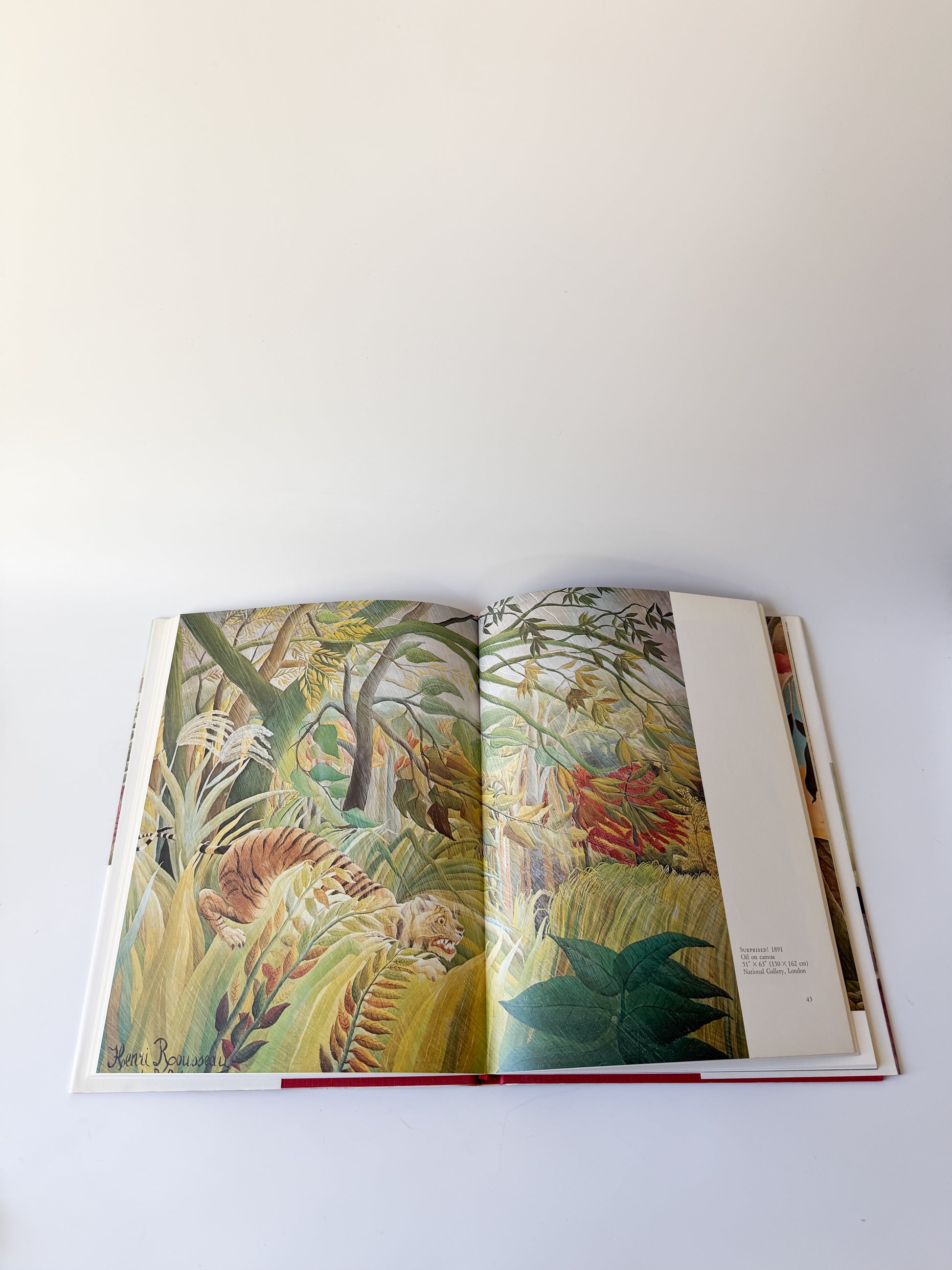 Henri Rousseau - Vintage Book