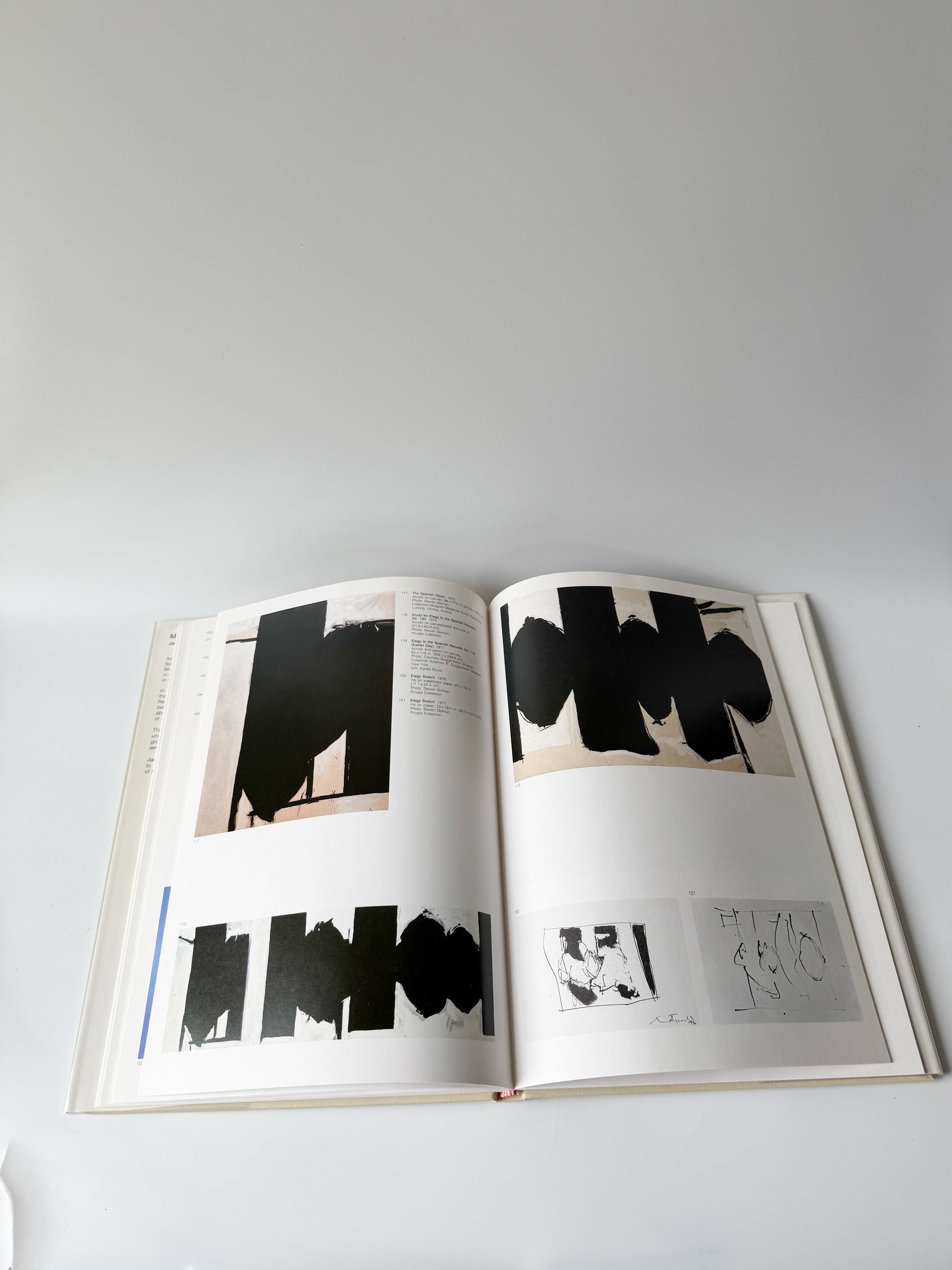 Book: Motherwell by Jack Flam