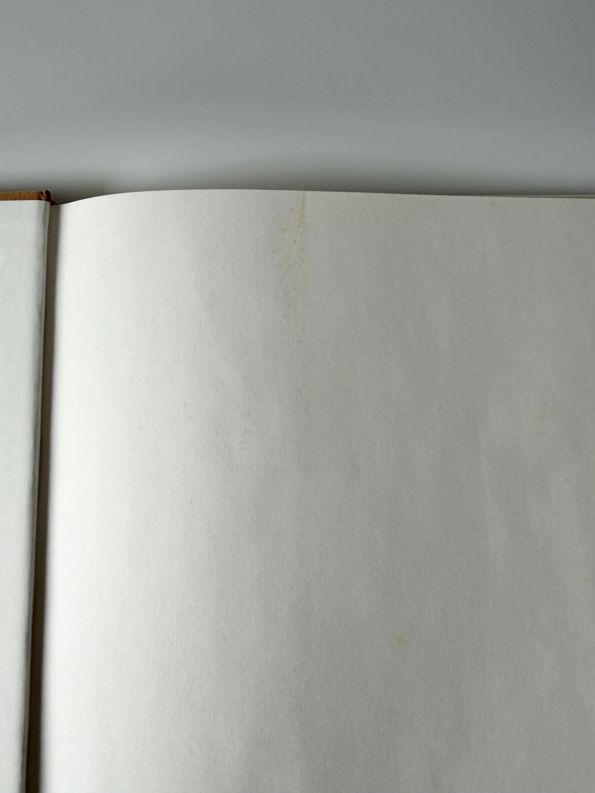 Book: Magritte (Rene Magritte) by A.M. Hammacher