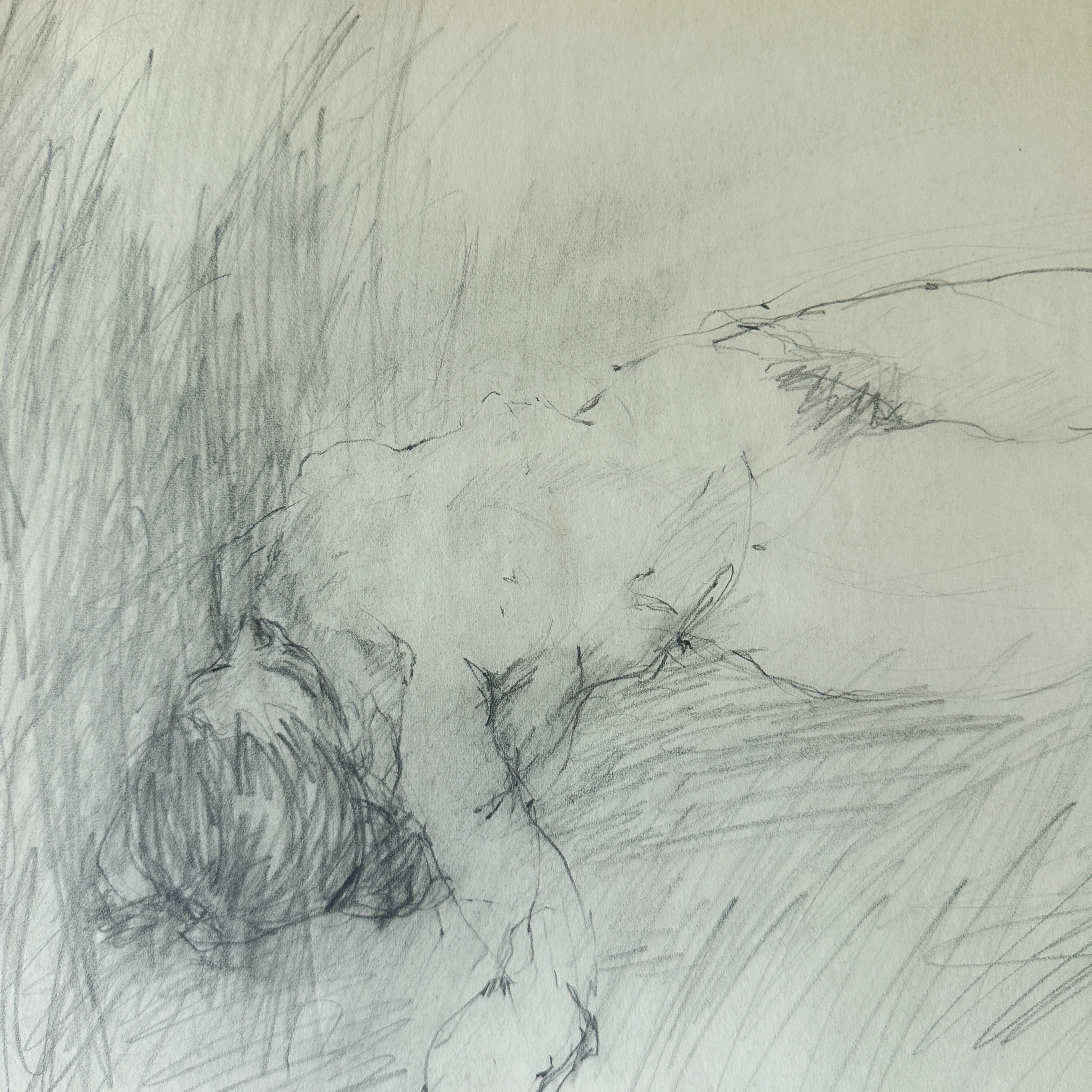 Nude Sketch on Thin Paper by Jane Matteson (17.75"W x 12"H)