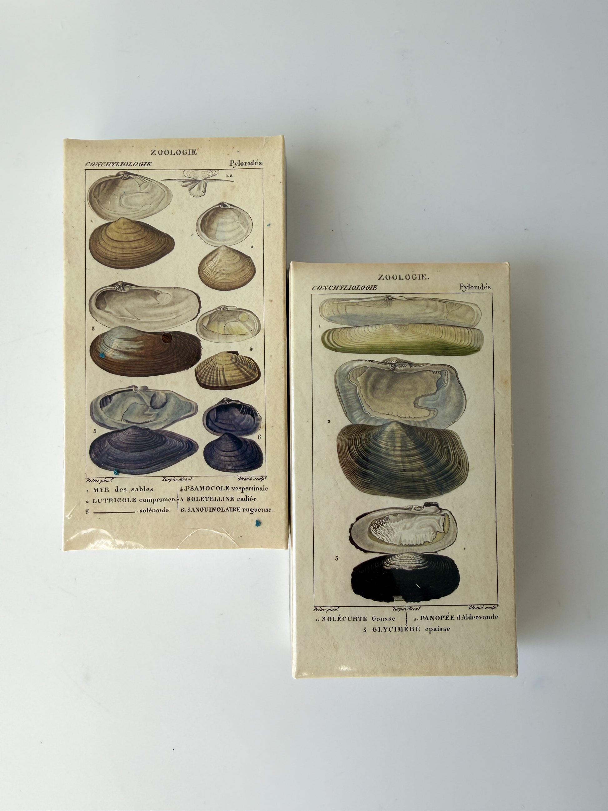 Matchbox Varieties (double-sided)