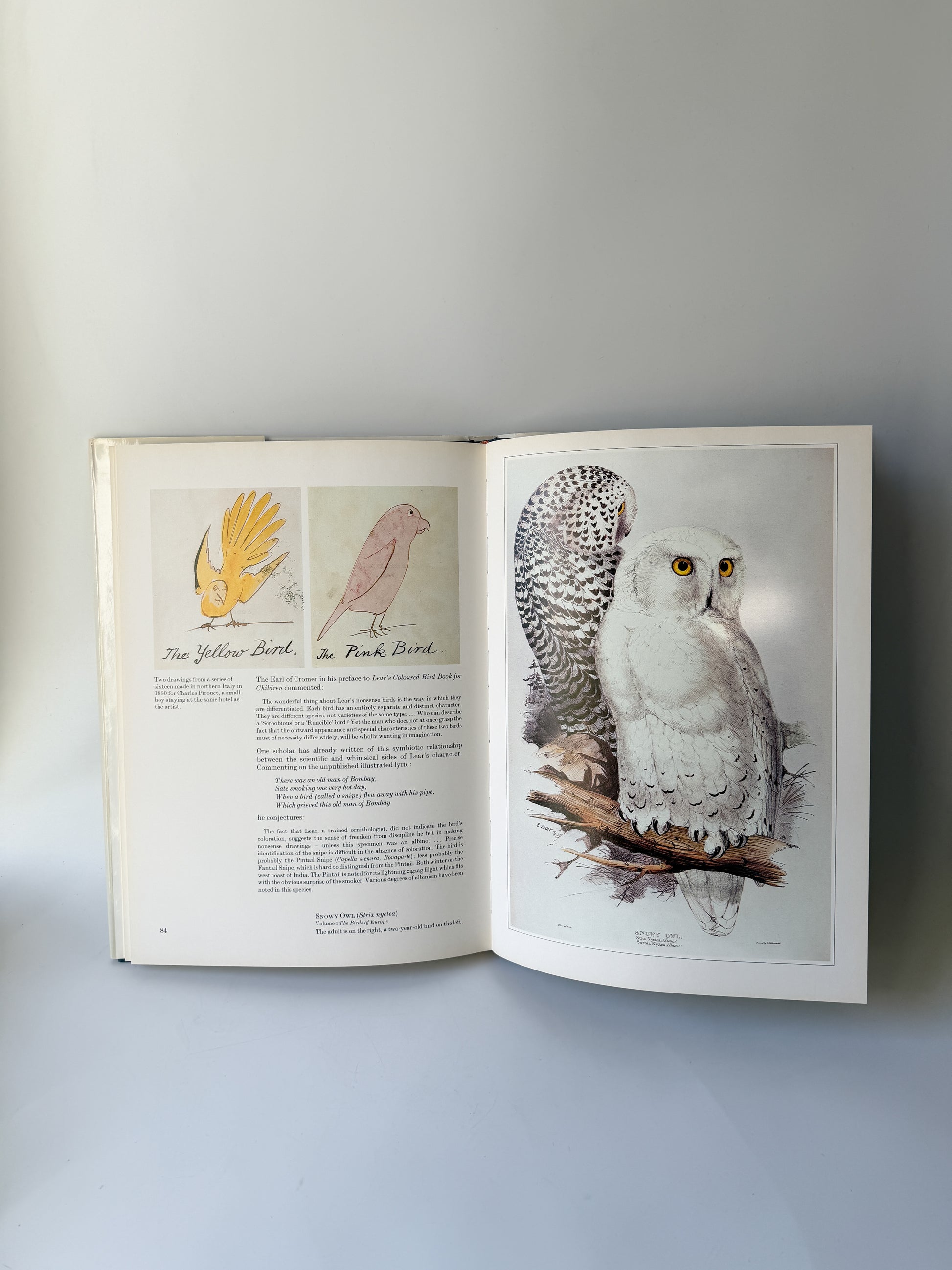 Book: Edward Lear's Birds by Susan Hyman