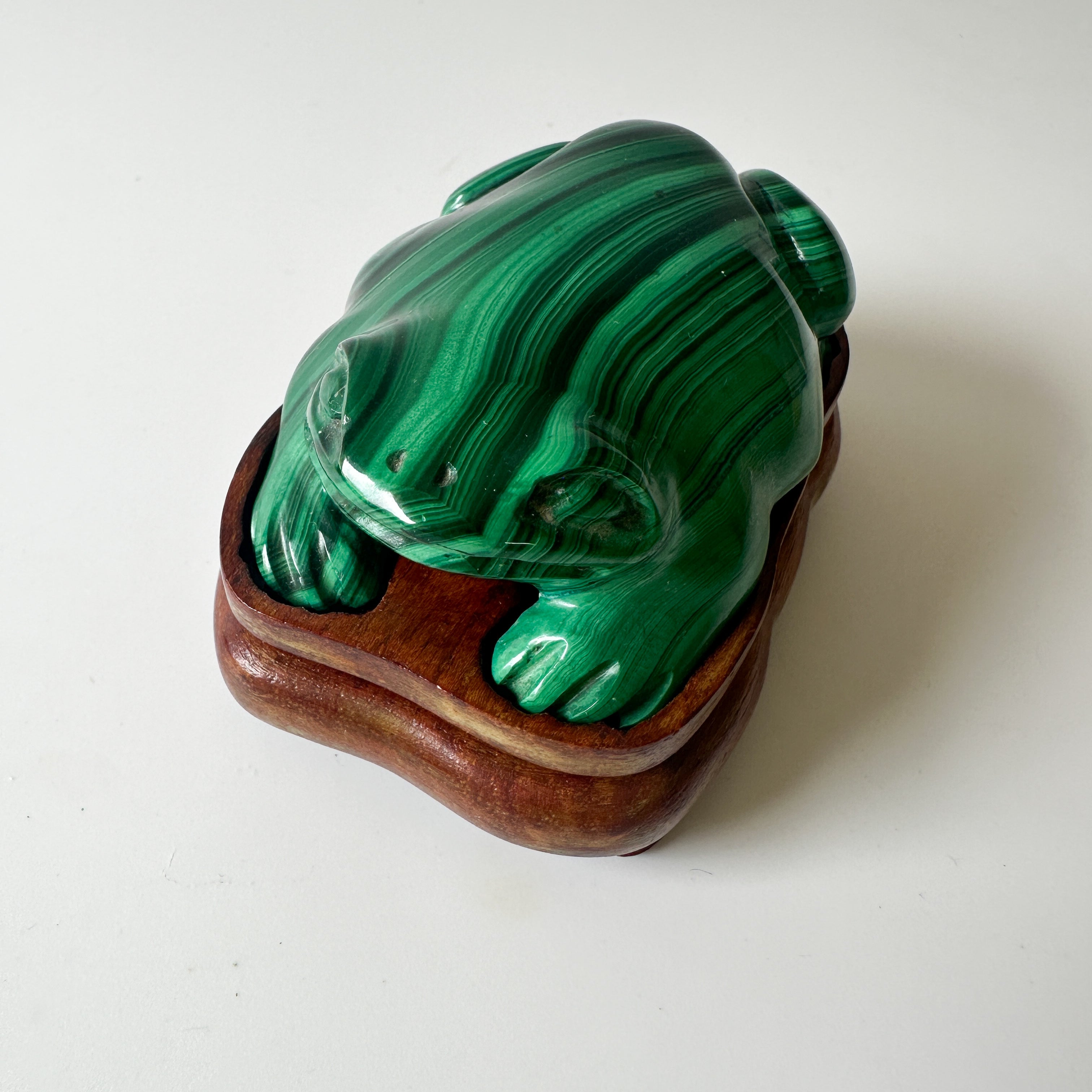 Polished Genuine Malachite Frog with Wood Stand (2.75"L x 2"W x 1"H)