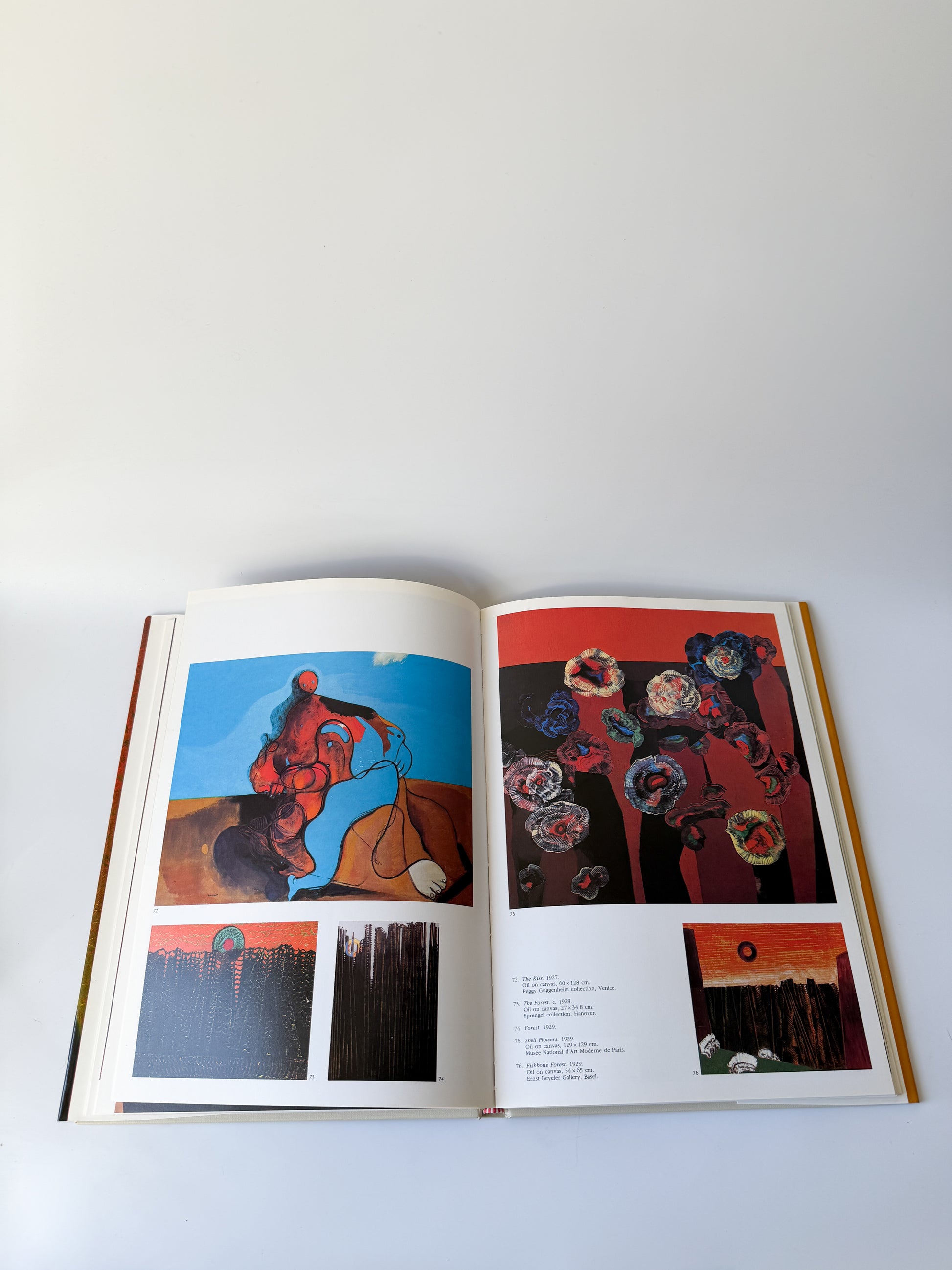 Book: Max Earnst by Pere Gimferrer