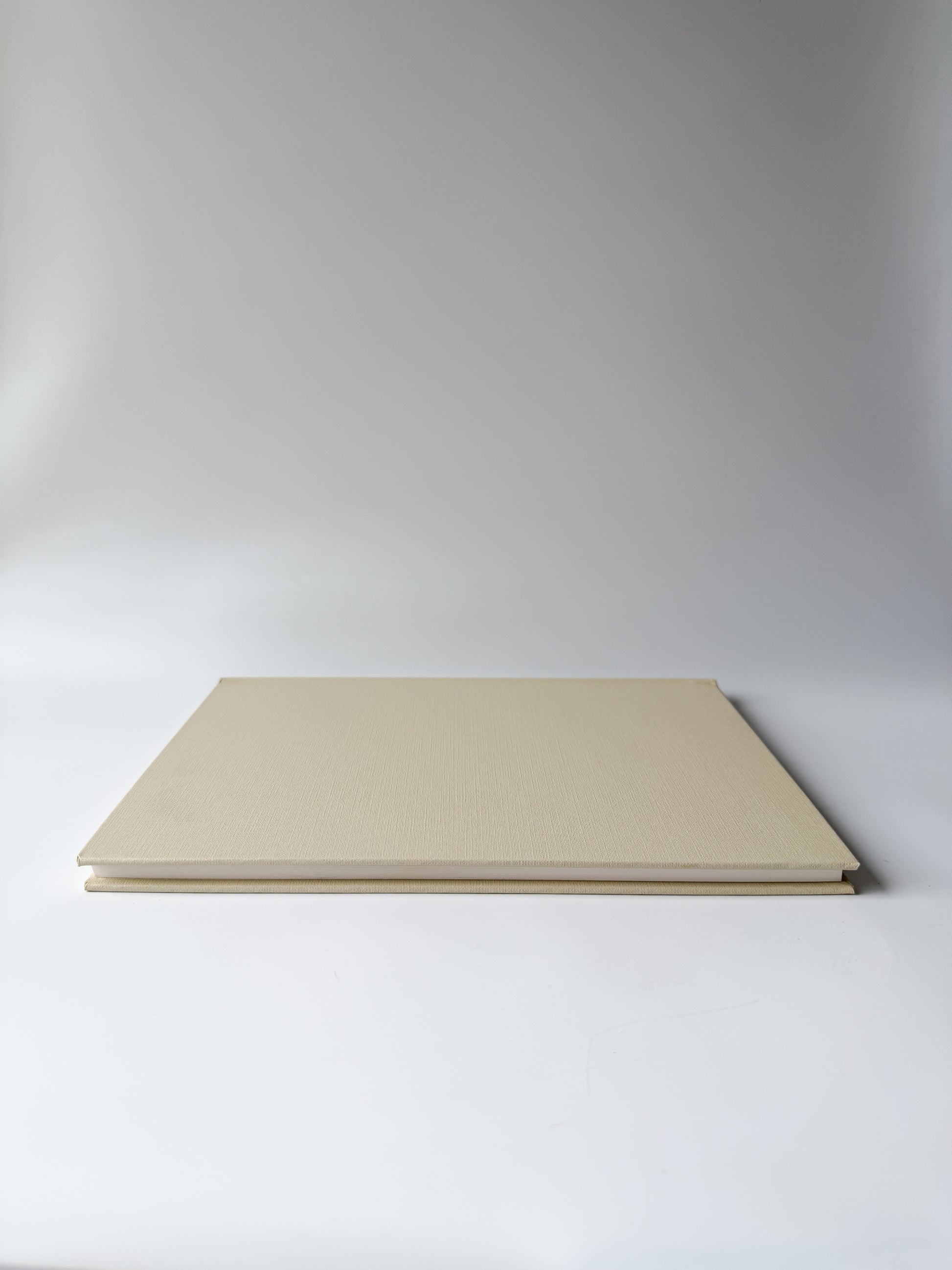 Book: Motherwell by Jack Flam