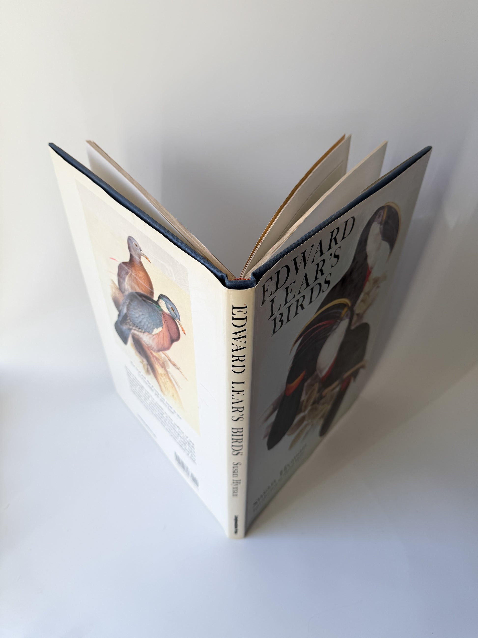 Book: Edward Lear's Birds by Susan Hyman