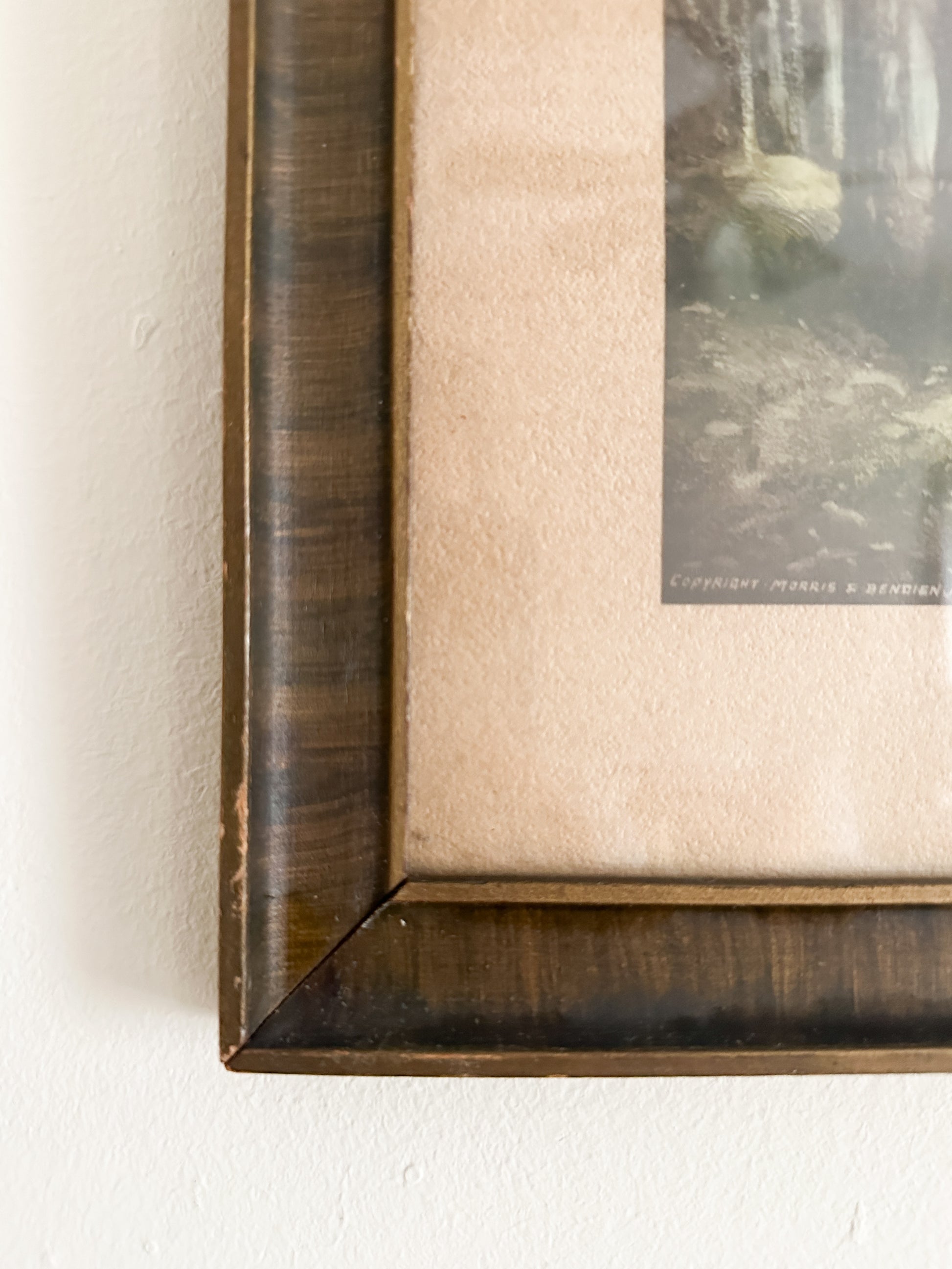 Antique Color Lithograph Landscape