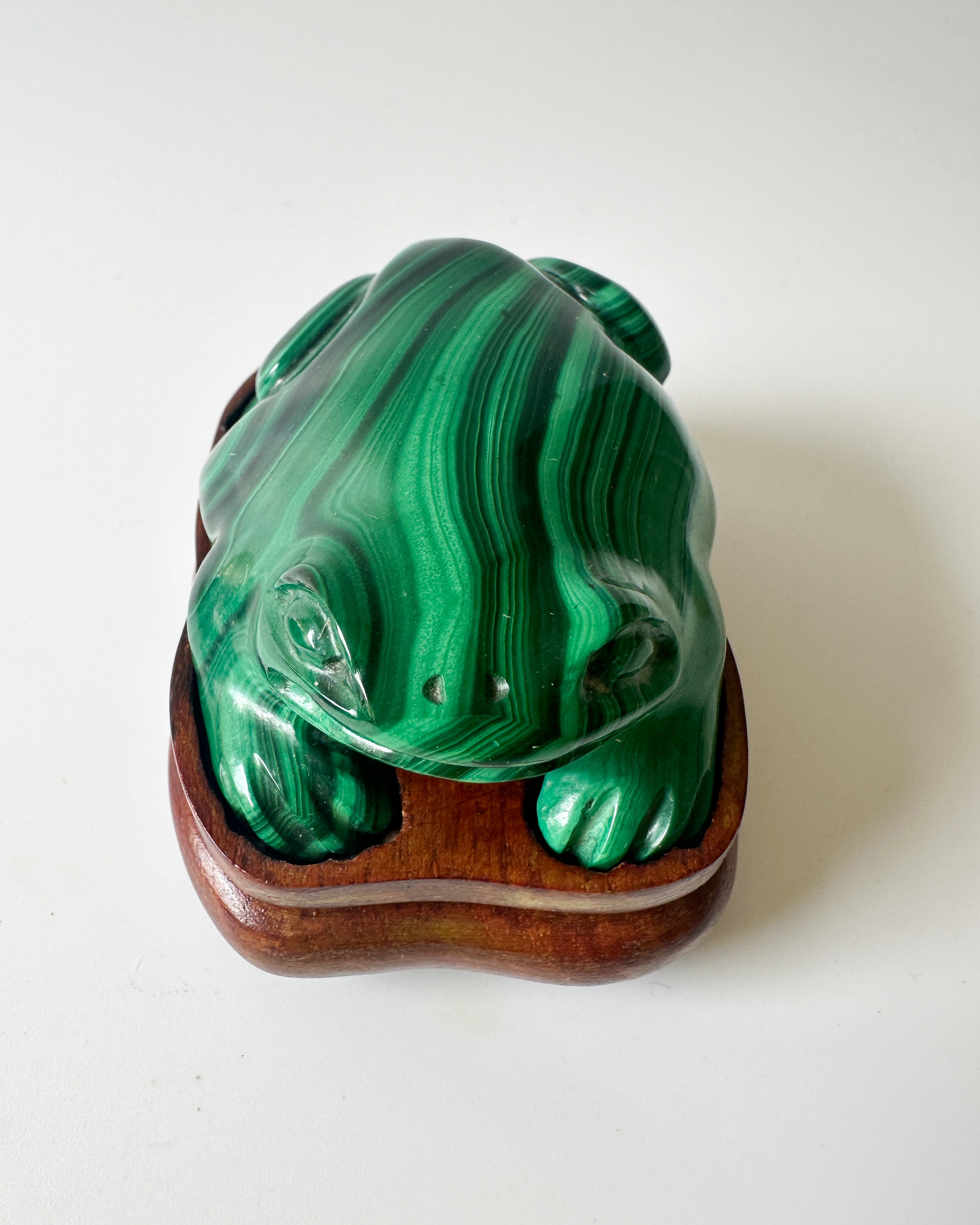 Polished Genuine Malachite Frog with Wood Stand (2.75"L x 2"W x 1"H)